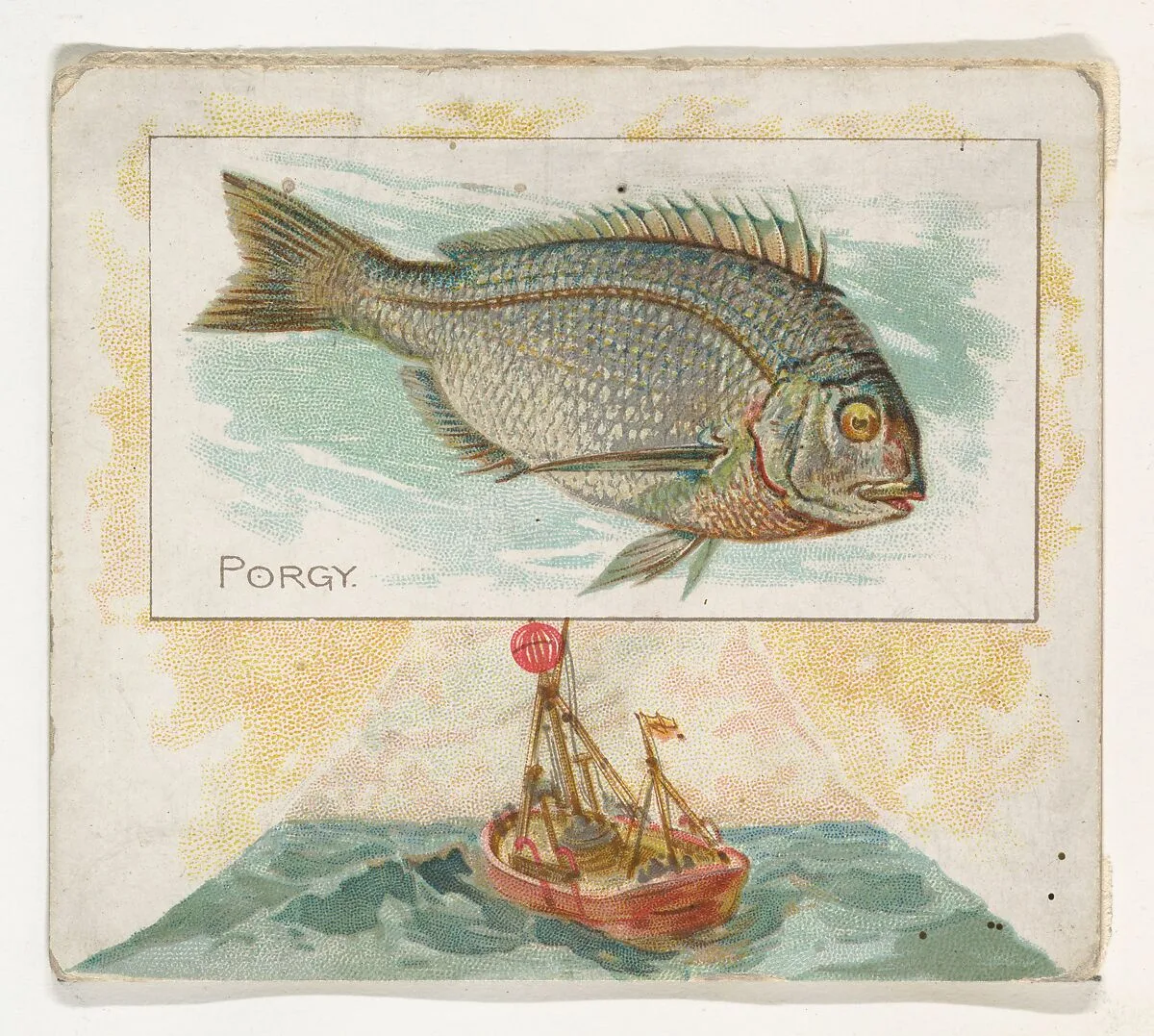 Porgy, from Fish from American Waters series (N39) for Allen & Ginter Cigarettes — Allen & Ginter|Lindner, Eddy & Claus