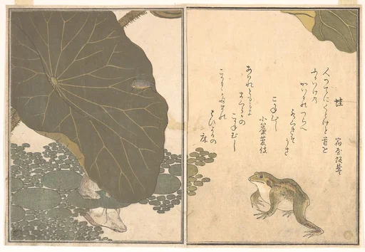 『画本虫撰』「蛙」「こかねむし」|Frog (Kaeru); Gold Beetle (Kogane mushi), from the Picture Book of Crawling Creatures (Ehon mushi erami)
