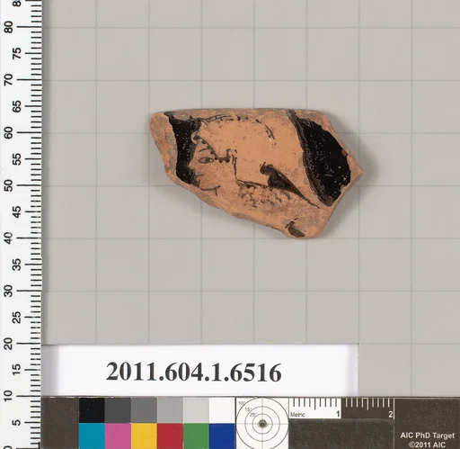 Terracotta rim fragment of a kylix (drinking cup)
