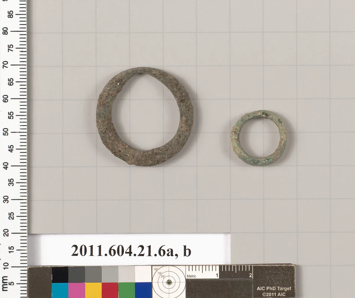 Bronze rings — Unknown