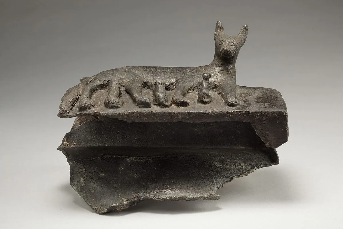 Cat with kittens on damaged box for animal mummy — Unknown