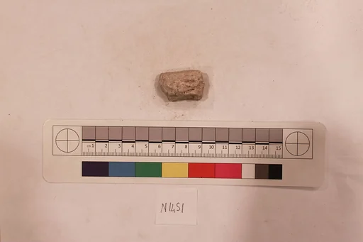 Stucco Fragment