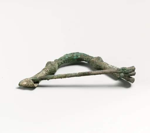 Fibula