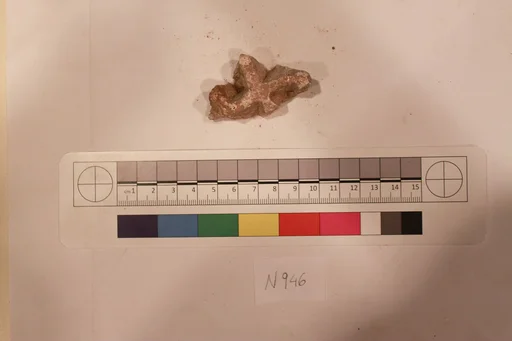 Stucco Fragment