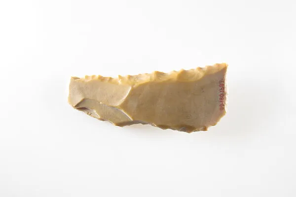 Sickle Insert — Unknown