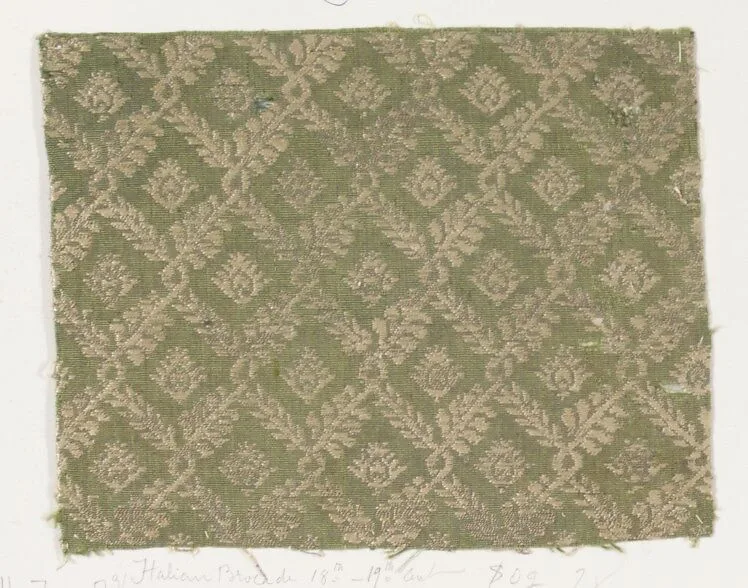 Fragment — Unknown