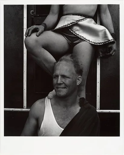 The Aerialists