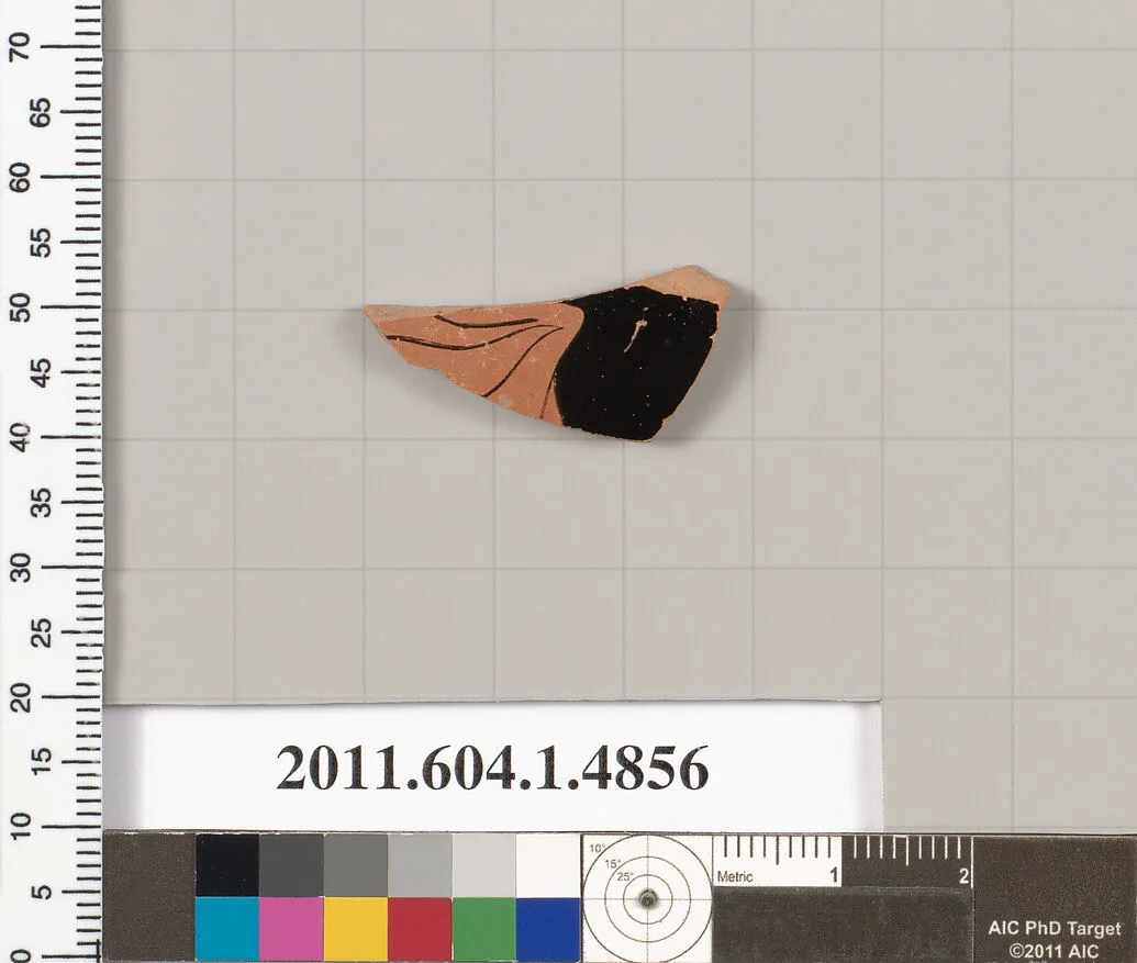 Terracotta fragment of a kylix (drinking cup) — Unknown