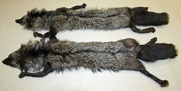 Accessory set — Unknown