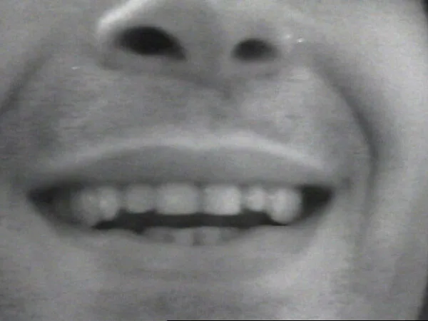 Contract — William Wegman