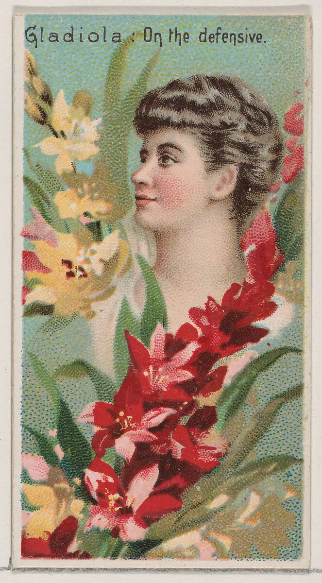 Gladiola: On the Defensive, from the series Floral Beauties and Language of Flowers (N75) for Duke brand cigarettes — Donaldson Brothers|American Tobacco Company