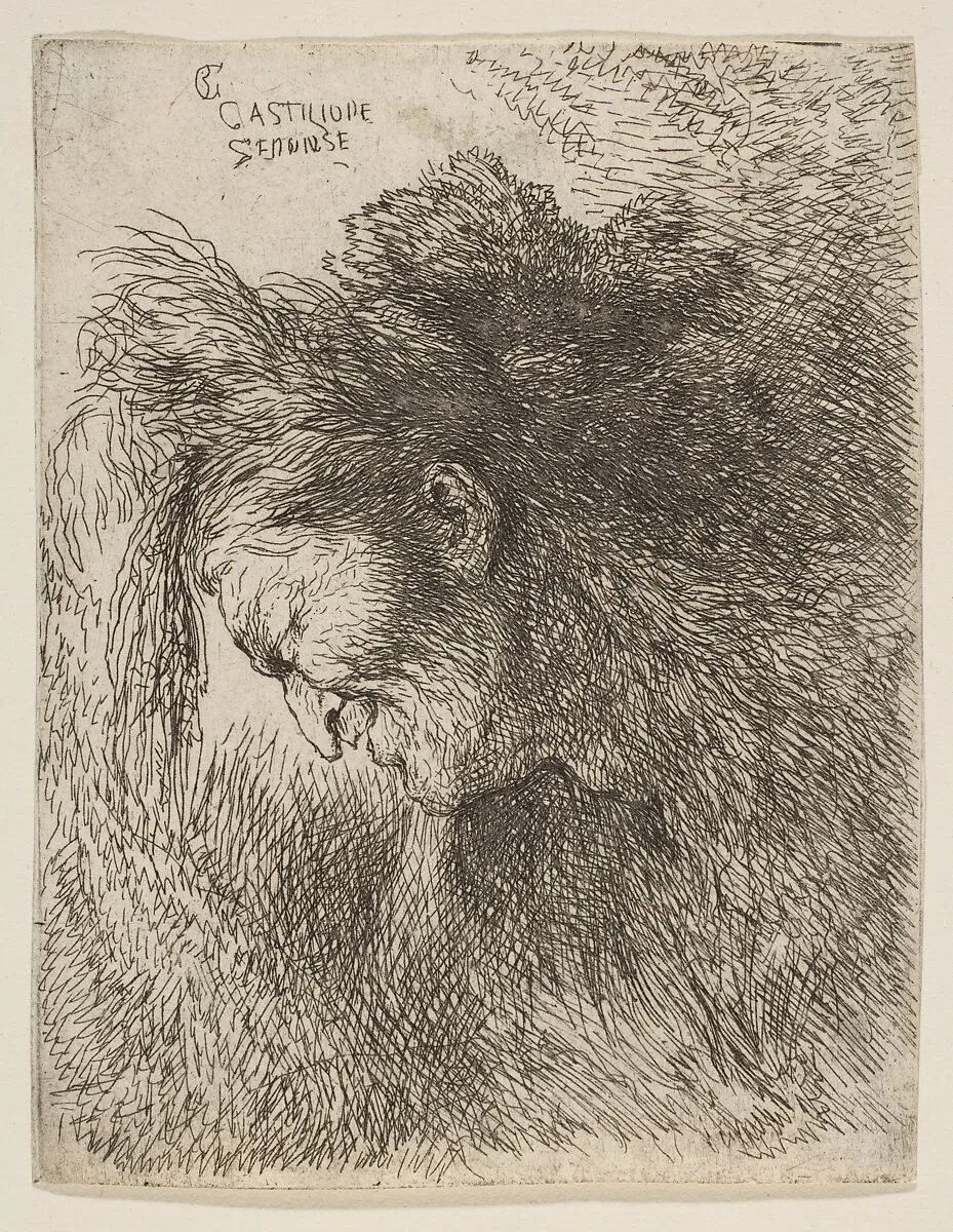 Head of an old man looking down, facing left, from "Small Heads in Oriental Headdress" — Giovanni Benedetto Castiglione (Il Grechetto)