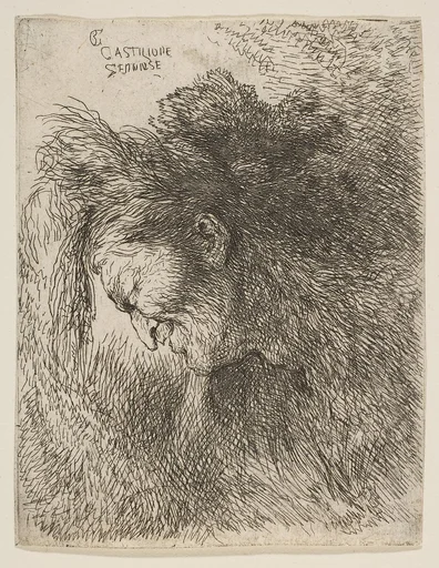 Head of an old man looking down, facing left, from "Small Heads in Oriental Headdress"