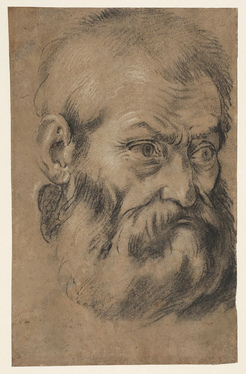 Head of beared man (recto), Study of an apostle (verso) — Giacomo Cavedone