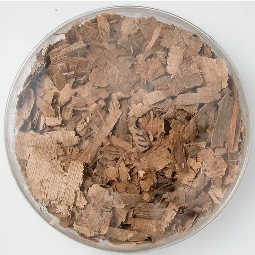 Papyri Fragments