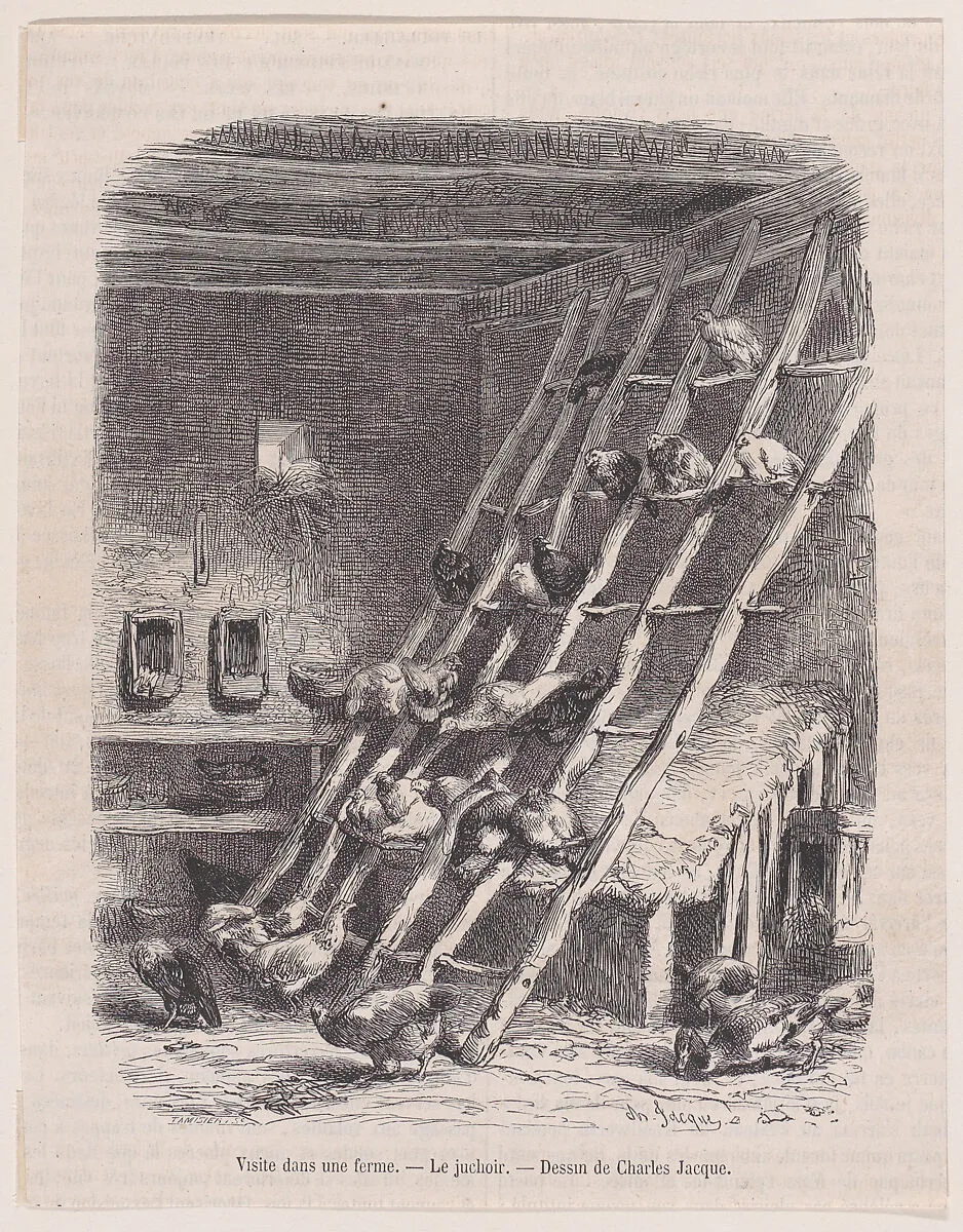 Visit to a Farm — The Roost, from "Le Magasin Pittoresque" — Charles Tamisier|Charles Jacque