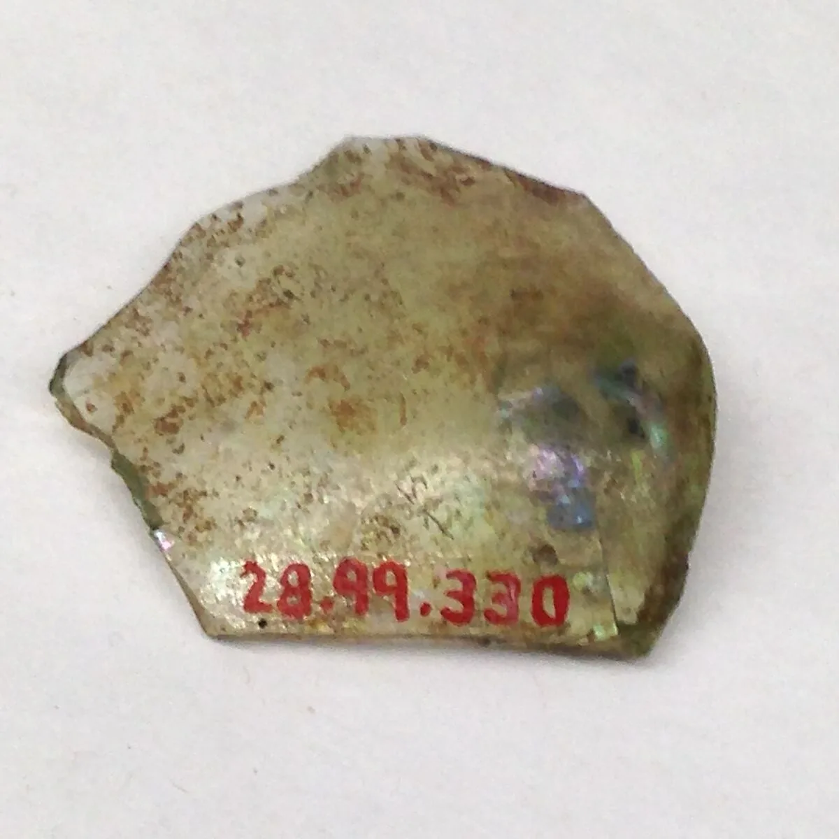 Fragment — Unknown