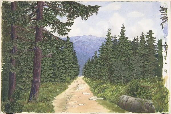 Goetheweg bei Torfhaus-Brocken — W. E. Cyrenius