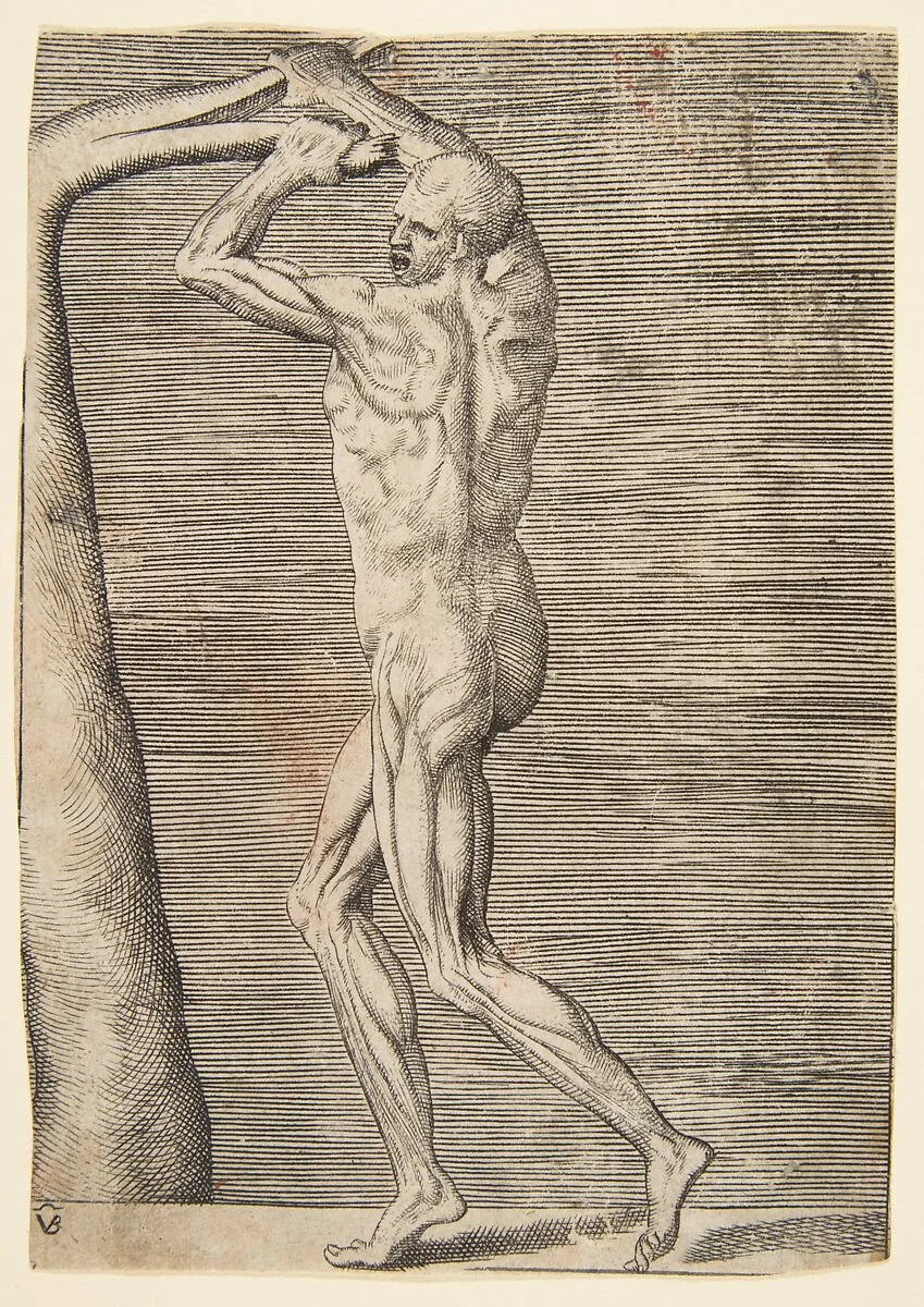 Flayed man arms raised holding the branch of a tree — Giulio Bonasone