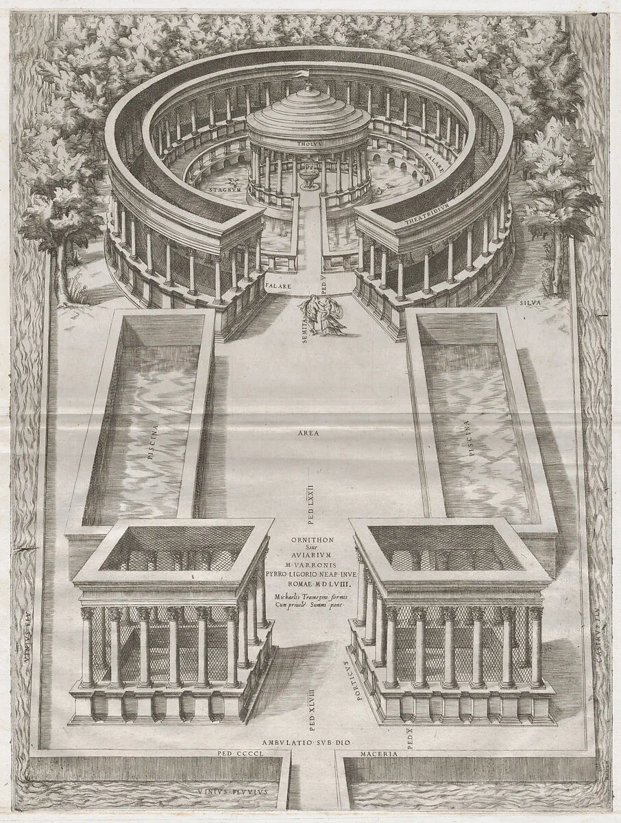 Speculum Romanae Magnificentiae: Ornithon Sive Aviarum — Pirro Ligorio|Anonymous|Michele Tramezzino