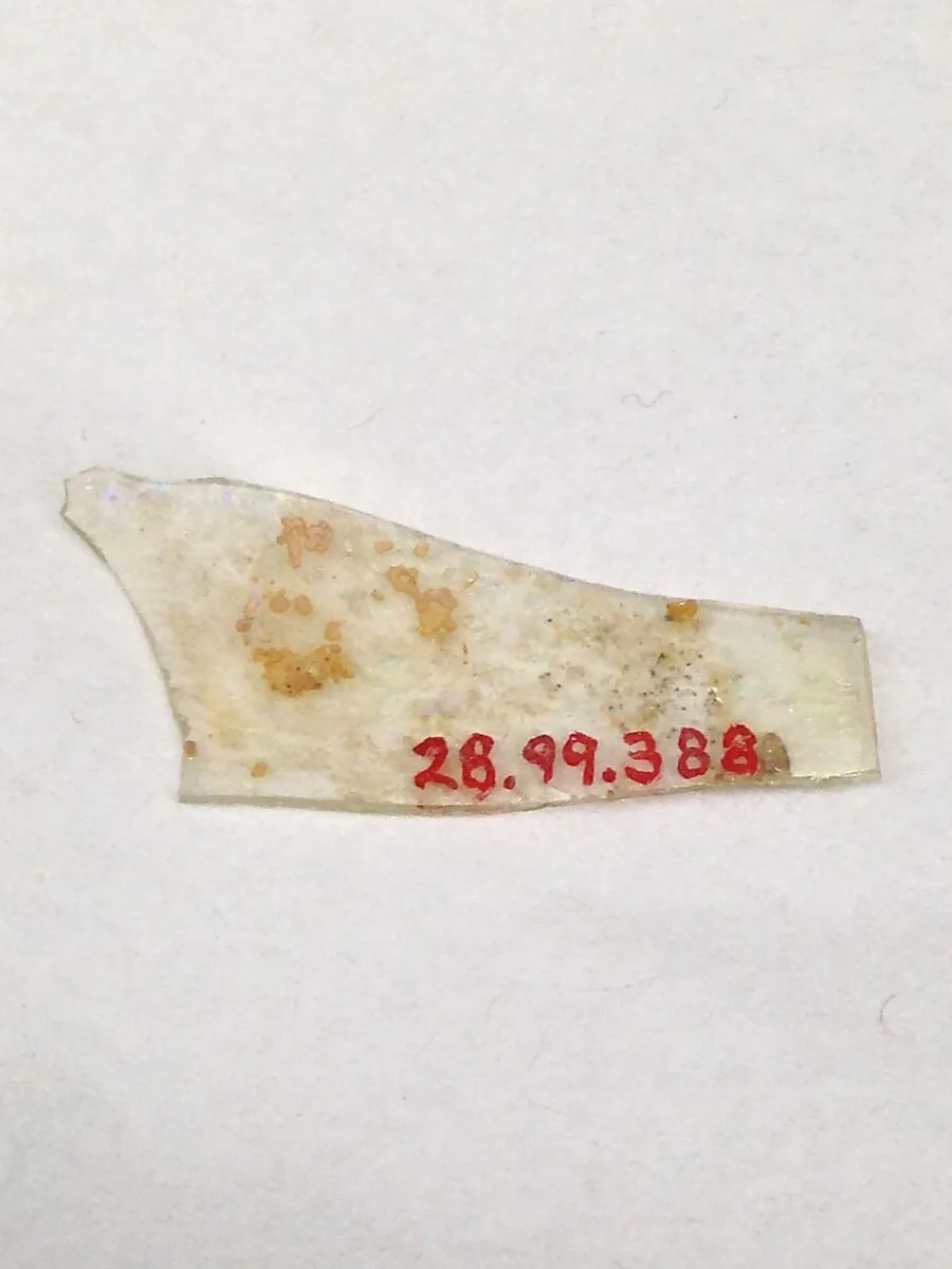 Fragment — Unknown