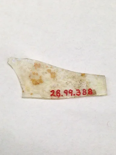 Fragment