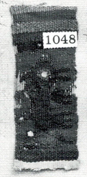 Tapestry Band Fragment — Unknown