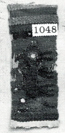Tapestry Band Fragment