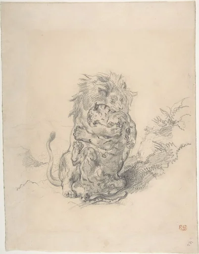 A Lion and a Tiger, Fighting