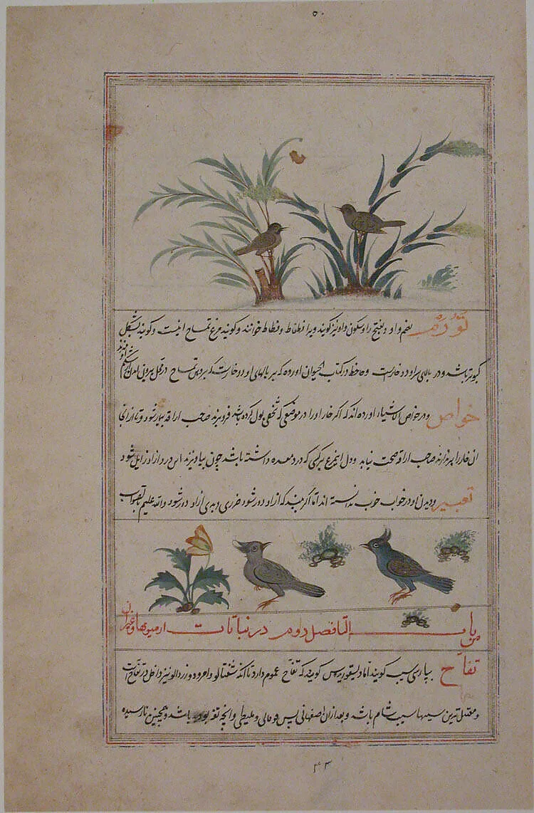 Folio from a Bestiary and Herbal — Unknown