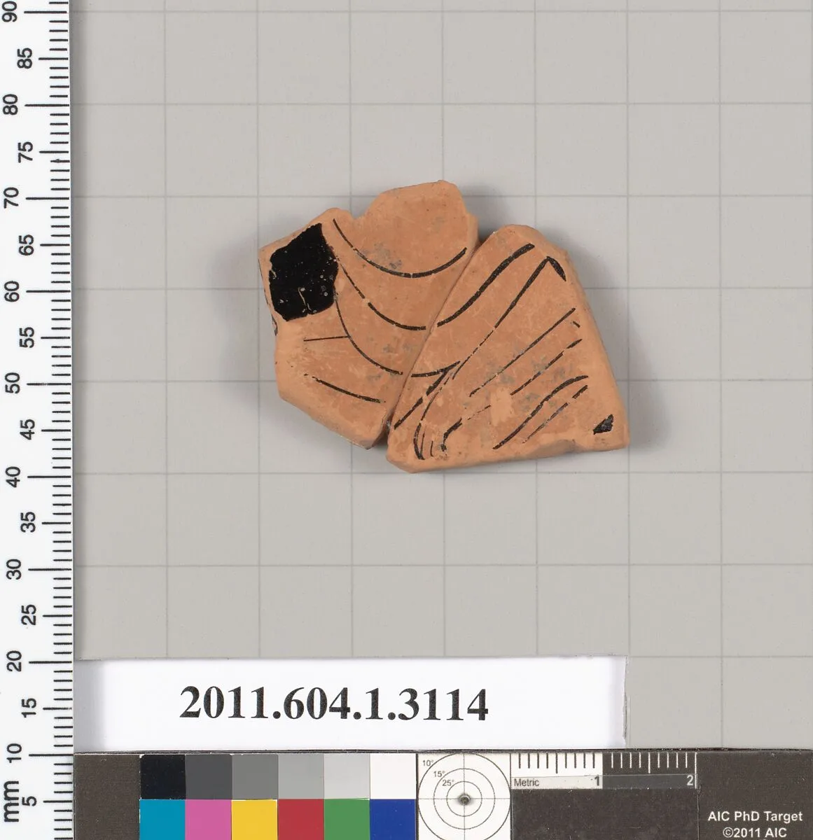 Terracotta fragment of a kylix (drinking cup) — Unknown
