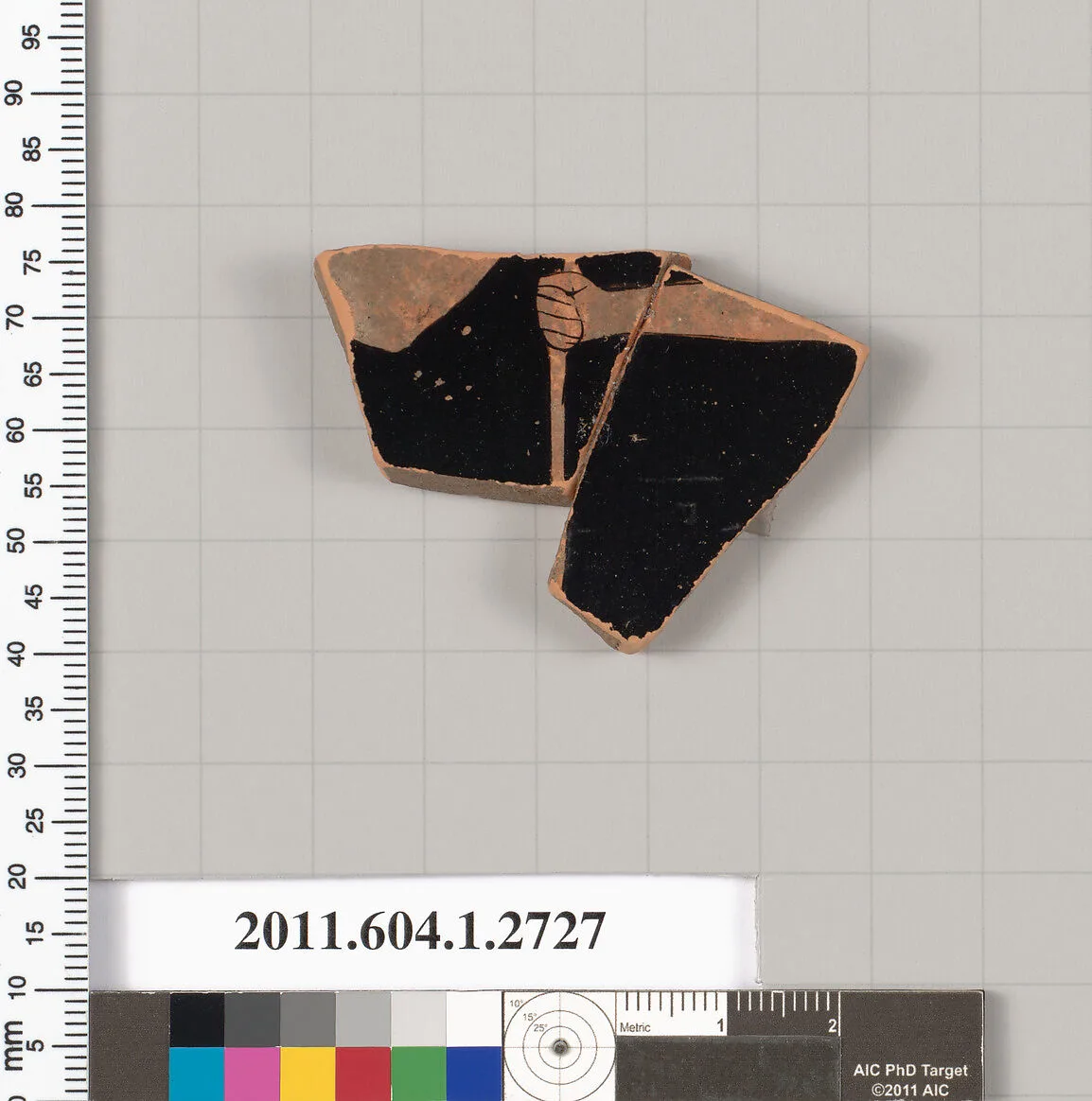 Terracotta fragment of a kylix (drinking cup) — Unknown