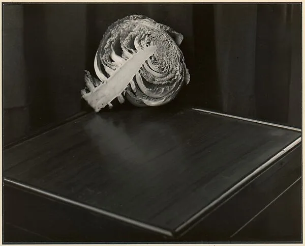 Cabbage — Johan Hagemeyer