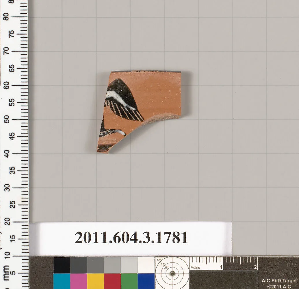 Terracotta rim fragment of a kylix: Lip cup (drinking cup) — Unknown