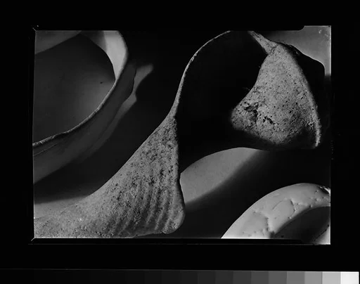 [Shell Detail]