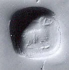 Stamp seal — Unknown