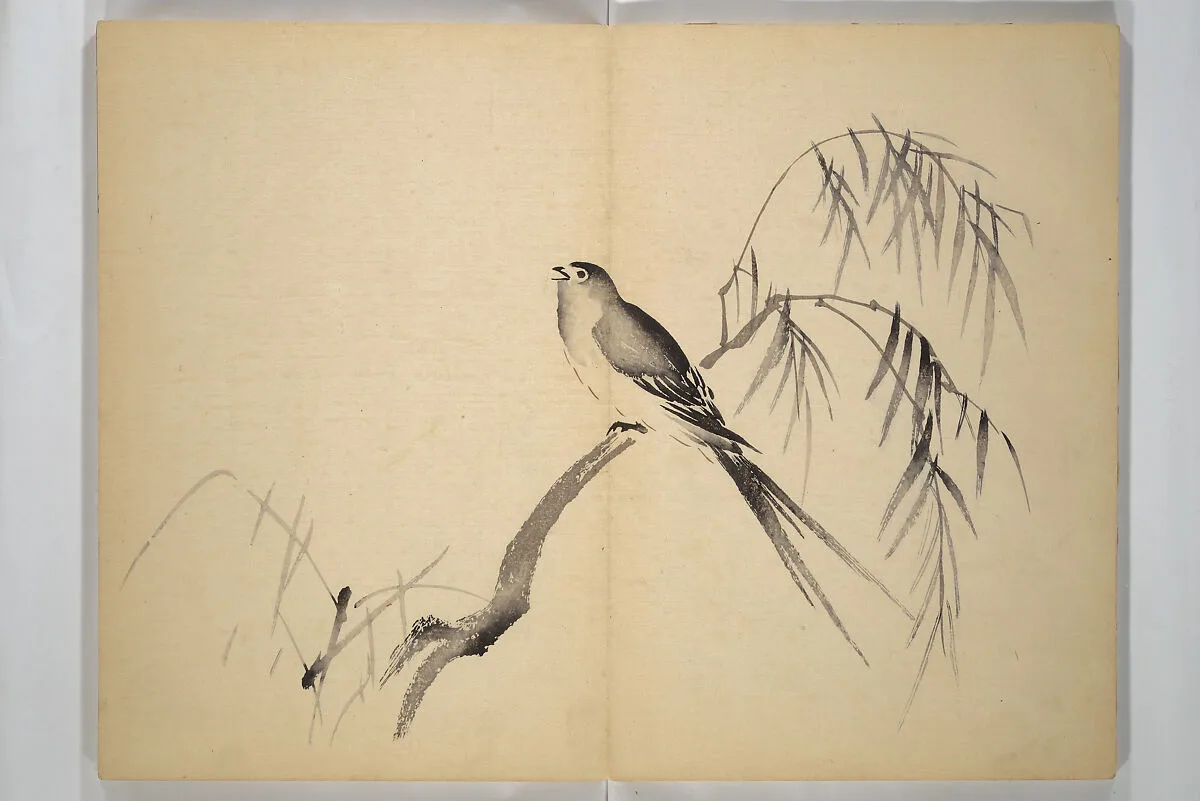 應舉画譜|Ōkyō Picture Album (Ōkyo gafu) 應舉画譜 — Maruyama Ōkyo 円山応挙