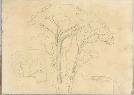 Umbrella Pines and Buildings (Smaller Italian Sketchbook, leaf 26 recto)