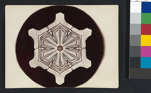 [Snow Crystal]
