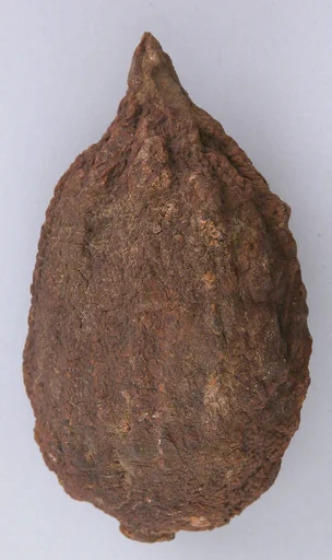 Petrified Lemon