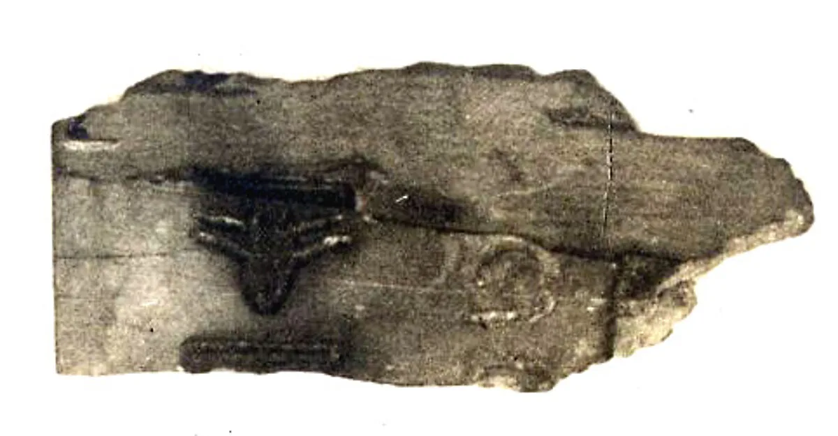 Fragment of an ivory tag — Unknown