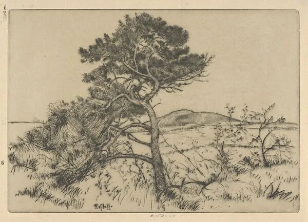 Popham Pines — Ernest Haskell