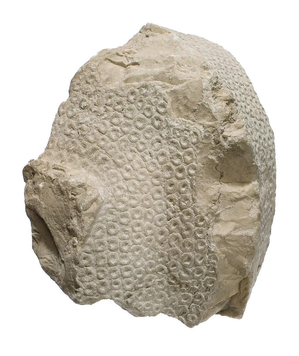 Blue crown from head of Akhenaten — Unknown