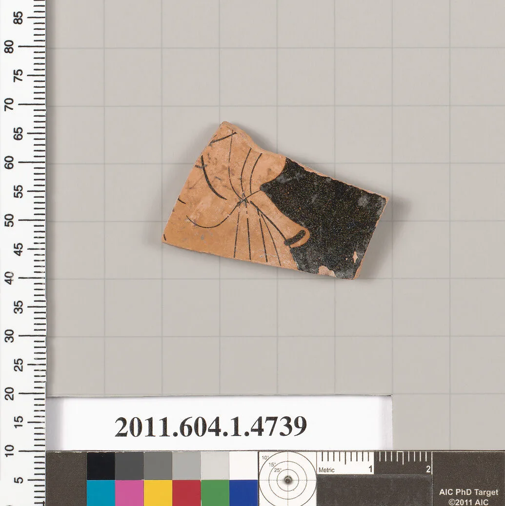 Terracotta fragment of a kylix (drinking cup) — Unknown