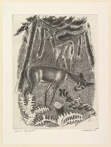 Deers in the Woods