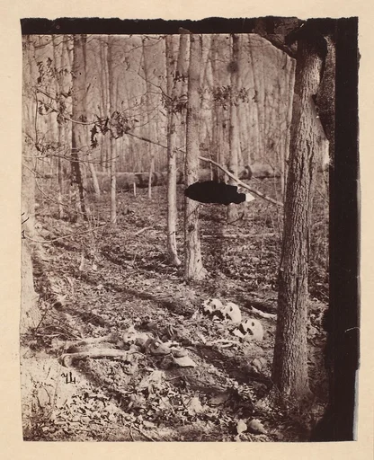 [The Wilderness Battlefield]