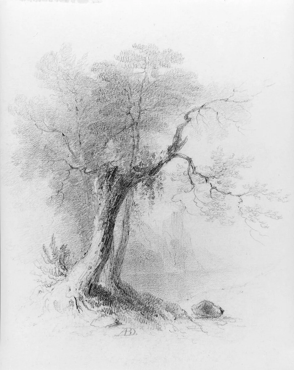 Landscape (from McGuire Scrapbook) — Asher Brown Durand