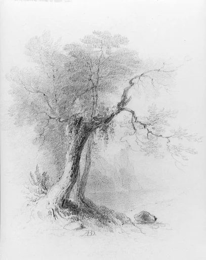 Landscape (from McGuire Scrapbook)