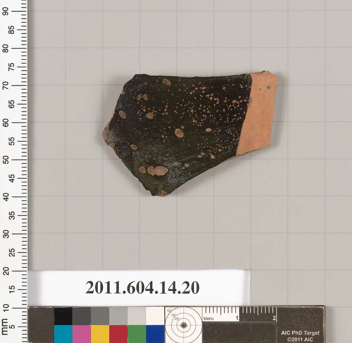 Terracotta fragment of an undetermined closed shape — Unknown