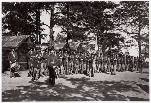 21st Michigan Infantry. Sherman's Volunteers